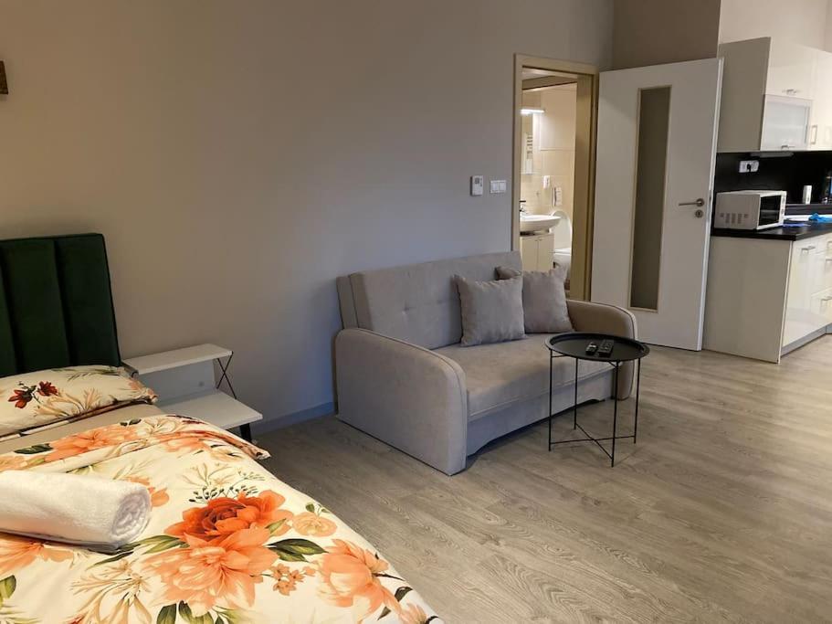 Garden Apartment Karolina Острава Екстериор снимка