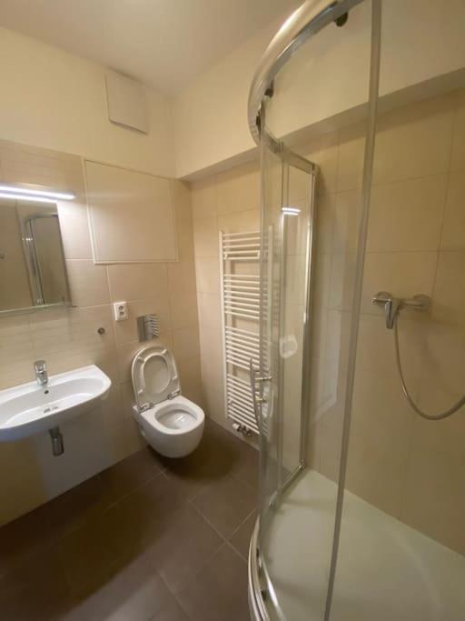 Garden Apartment Karolina Острава Екстериор снимка